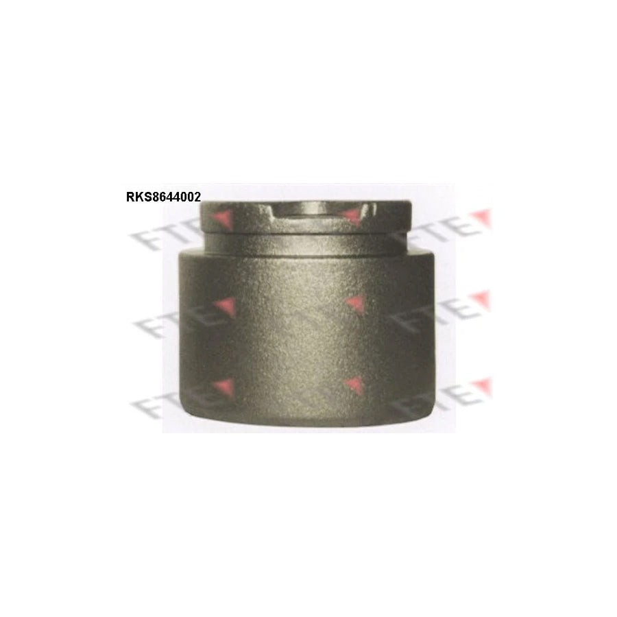 FTE Rks8644002 Piston, Brake Caliper