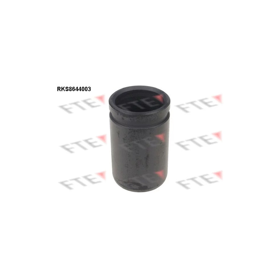FTE Rks8644003 Piston, Brake Caliper