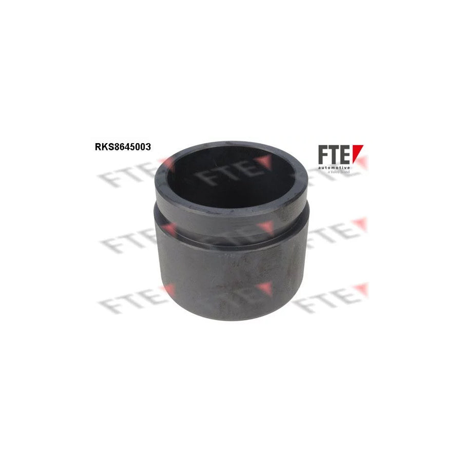 FTE Rks8645003 Piston, Brake Caliper