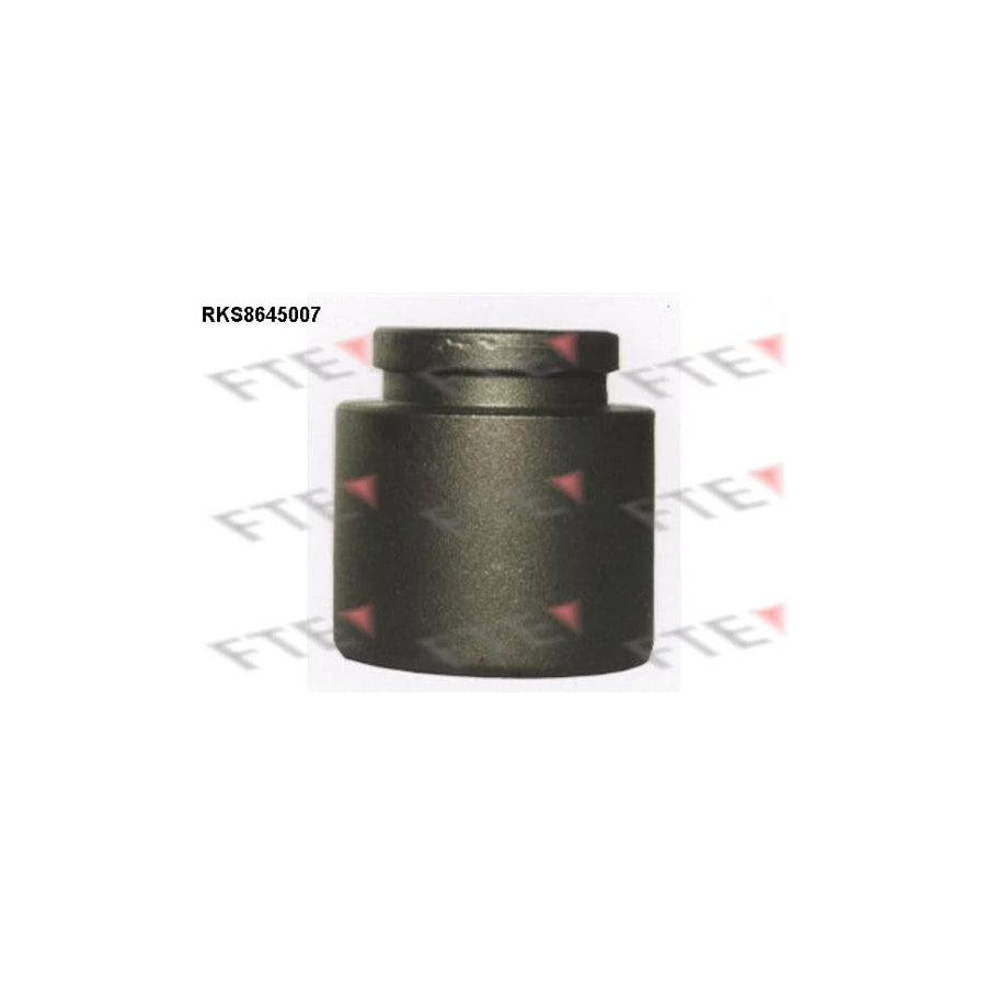 FTE Rks8645007 Piston, Brake Caliper