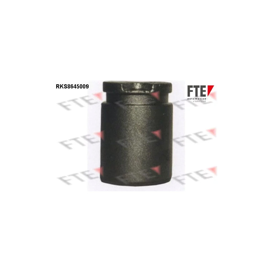 FTE Rks8645009 Piston, Brake Caliper