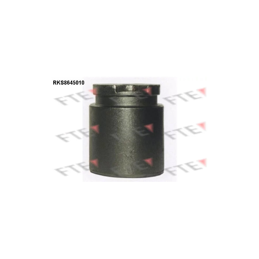 FTE Rks8645010 Piston, Brake Caliper