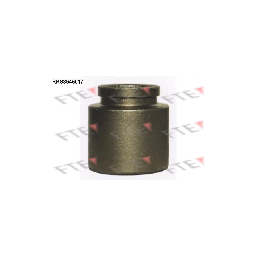 FTE Rks8645017 Piston, Brake Caliper