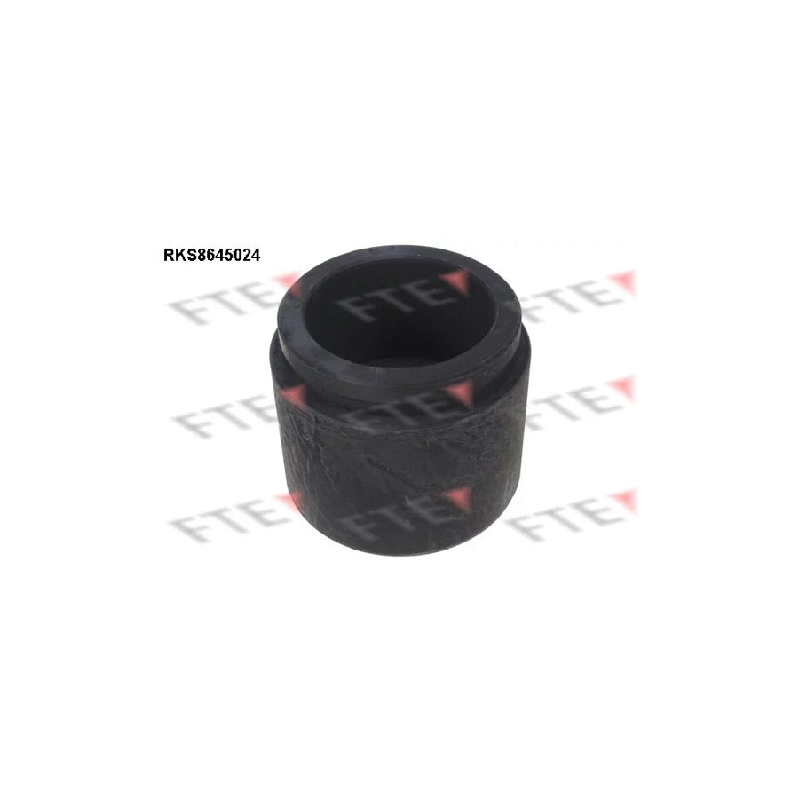FTE Rks8645024 Piston, Brake Caliper