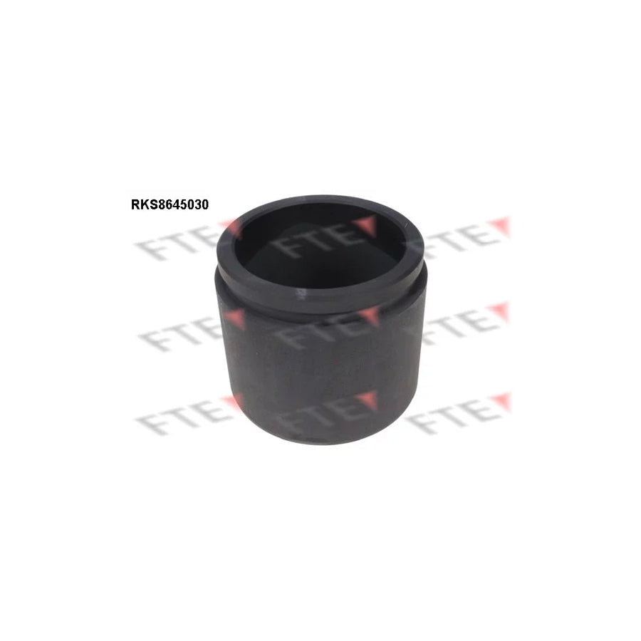 FTE Rks8645030 Piston, Brake Caliper
