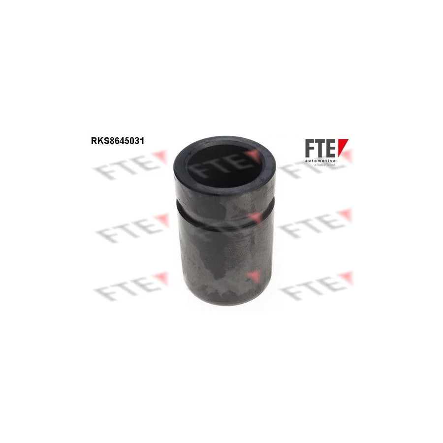 FTE Rks8645031 Piston, Brake Caliper for Toyota Yaris