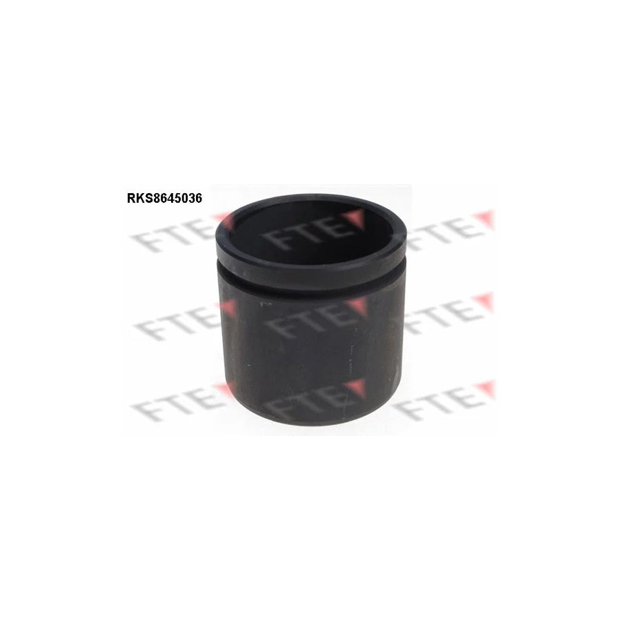 FTE Rks8645036 Piston, Brake Caliper