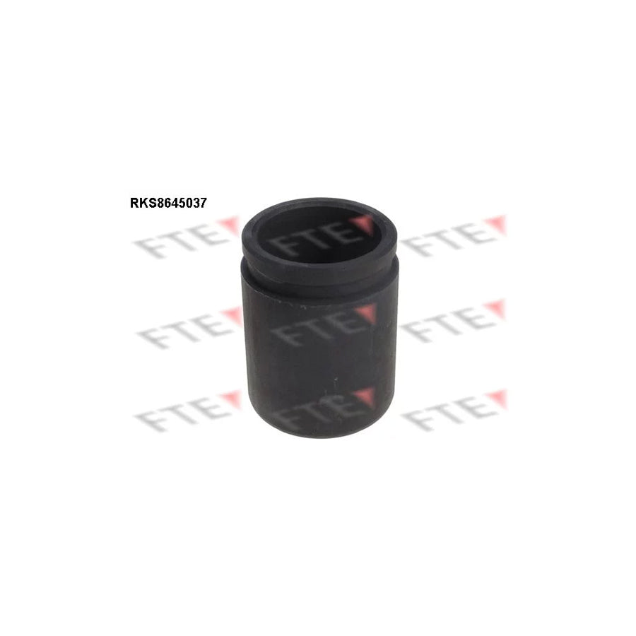 FTE Rks8645037 Piston, Brake Caliper