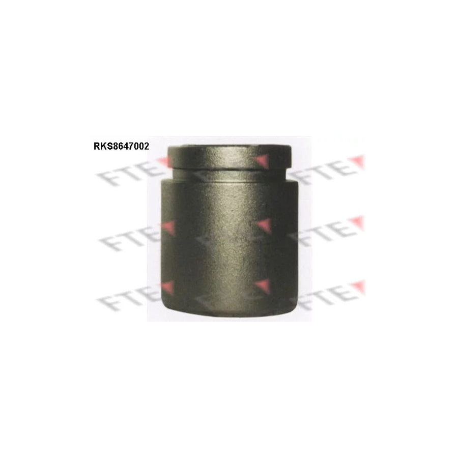 FTE Rks8647002 Piston, Brake Caliper