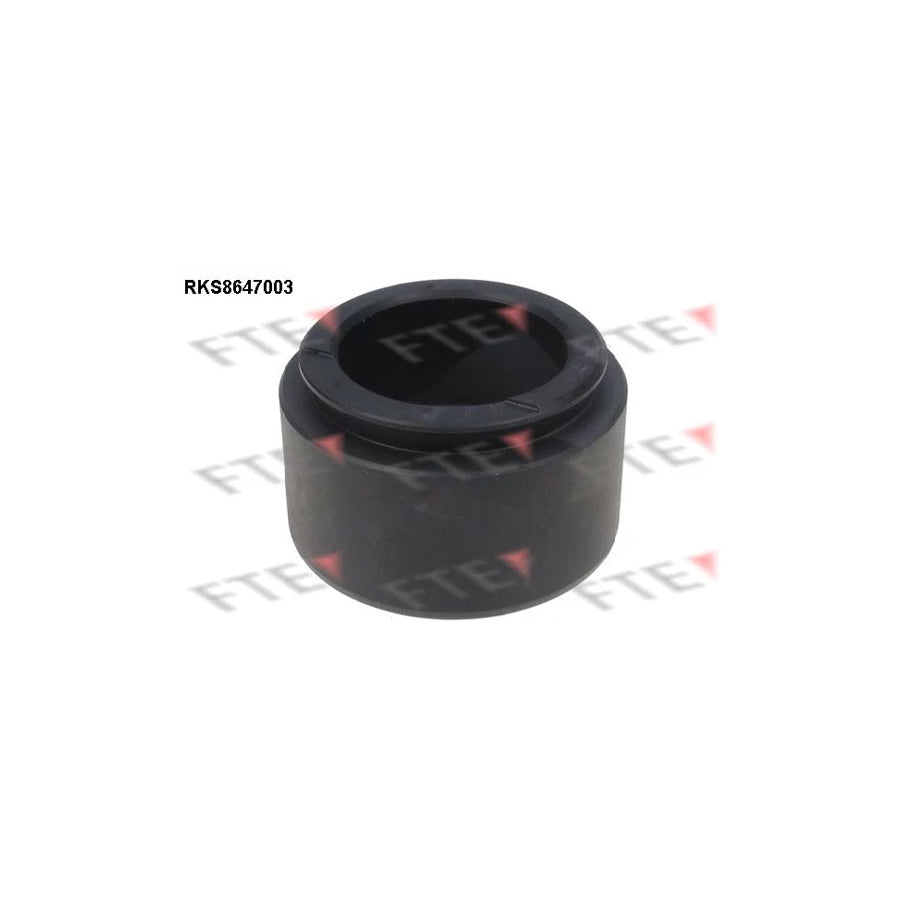 FTE Rks8647003 Piston, Brake Caliper for VW Transporter