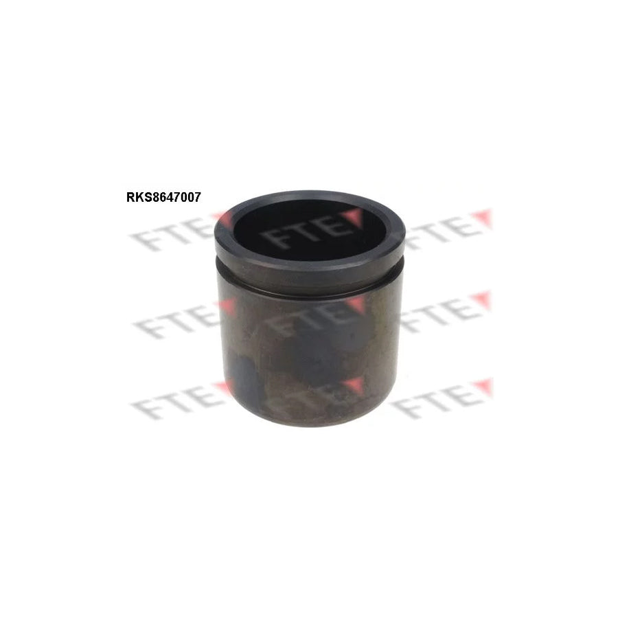 FTE Rks8647007 Piston, Brake Caliper