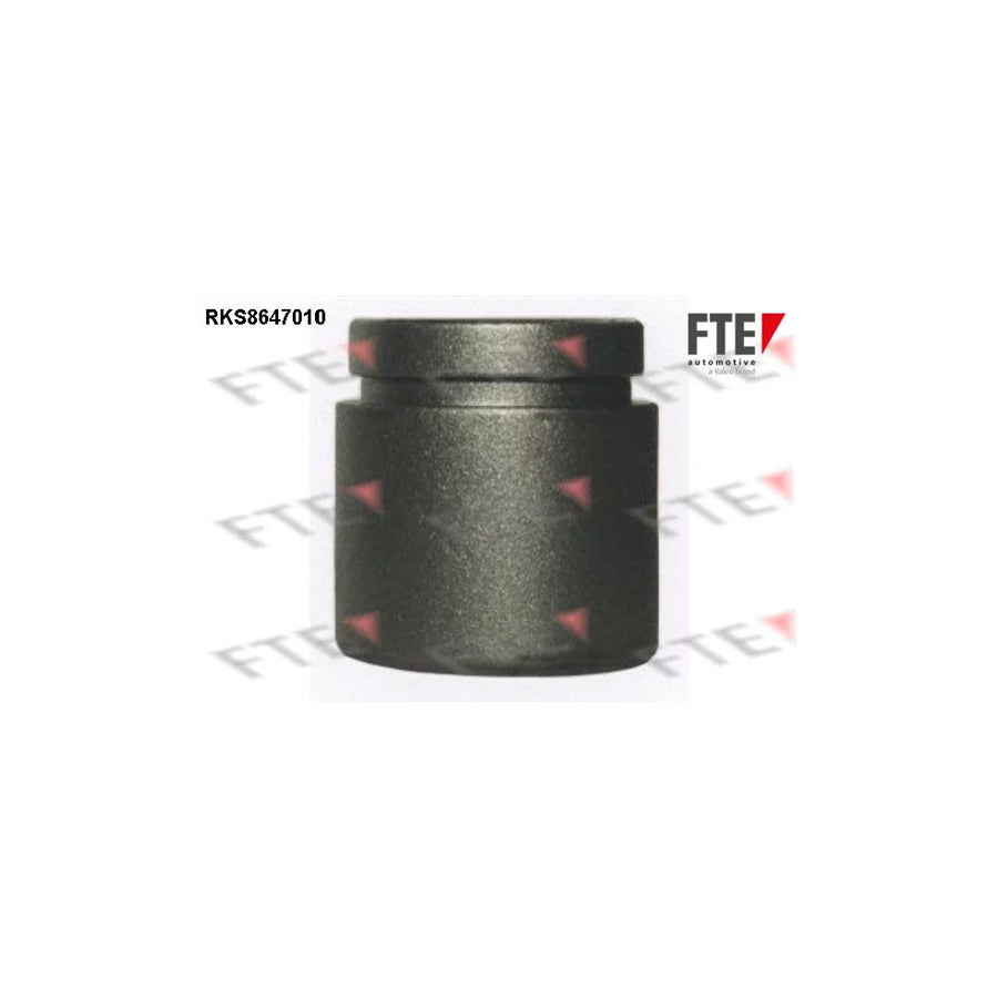 FTE Rks8647010 Piston, Brake Caliper