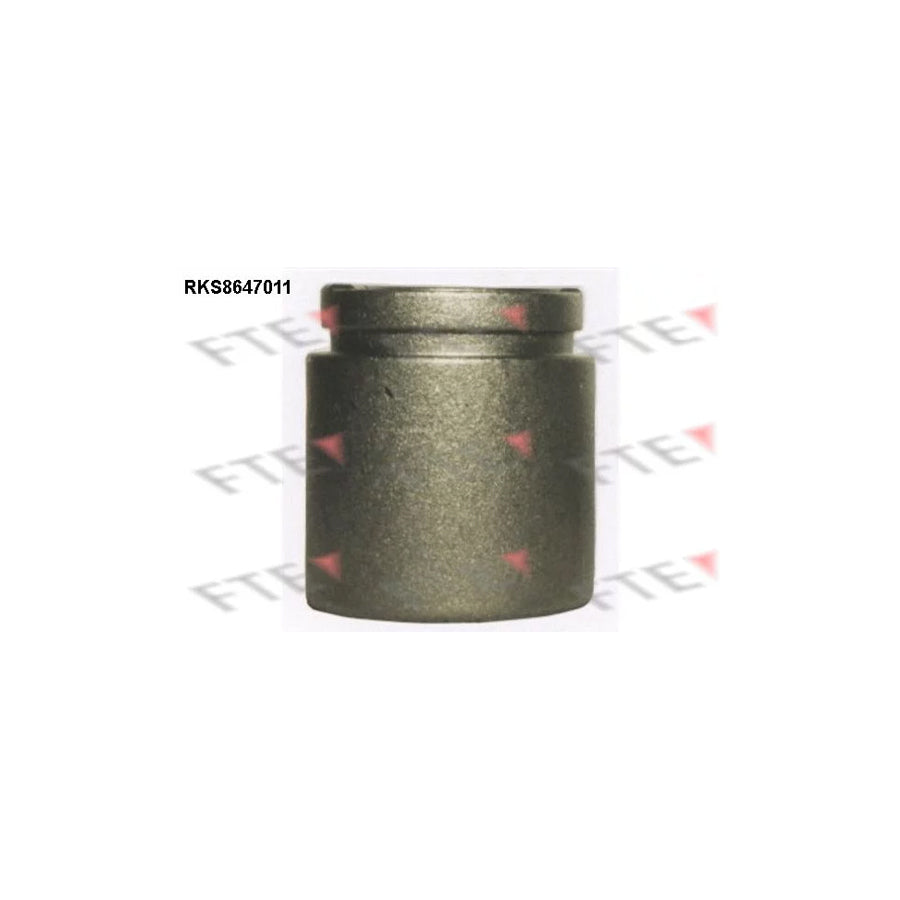FTE Rks8647011 Piston, Brake Caliper
