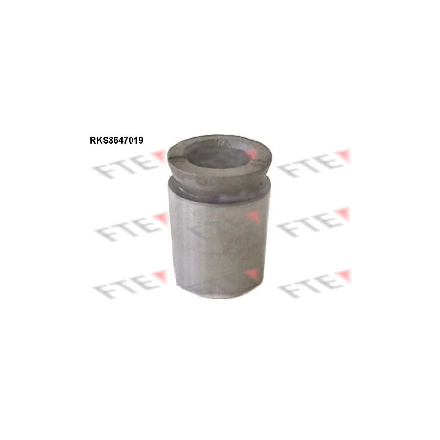 FTE Rks8647019 Piston, Brake Caliper