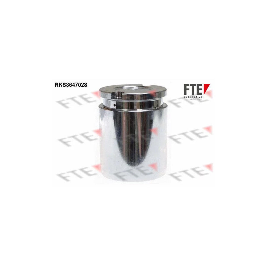 FTE Rks8647028 Piston, Brake Caliper