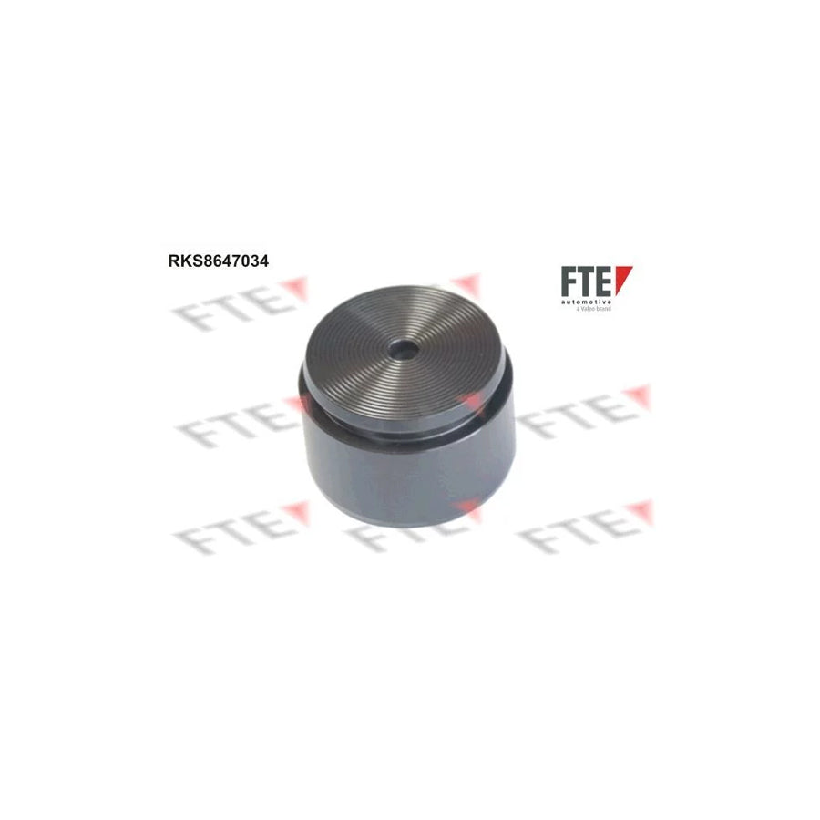 FTE Rks8647034 Piston, Brake Caliper