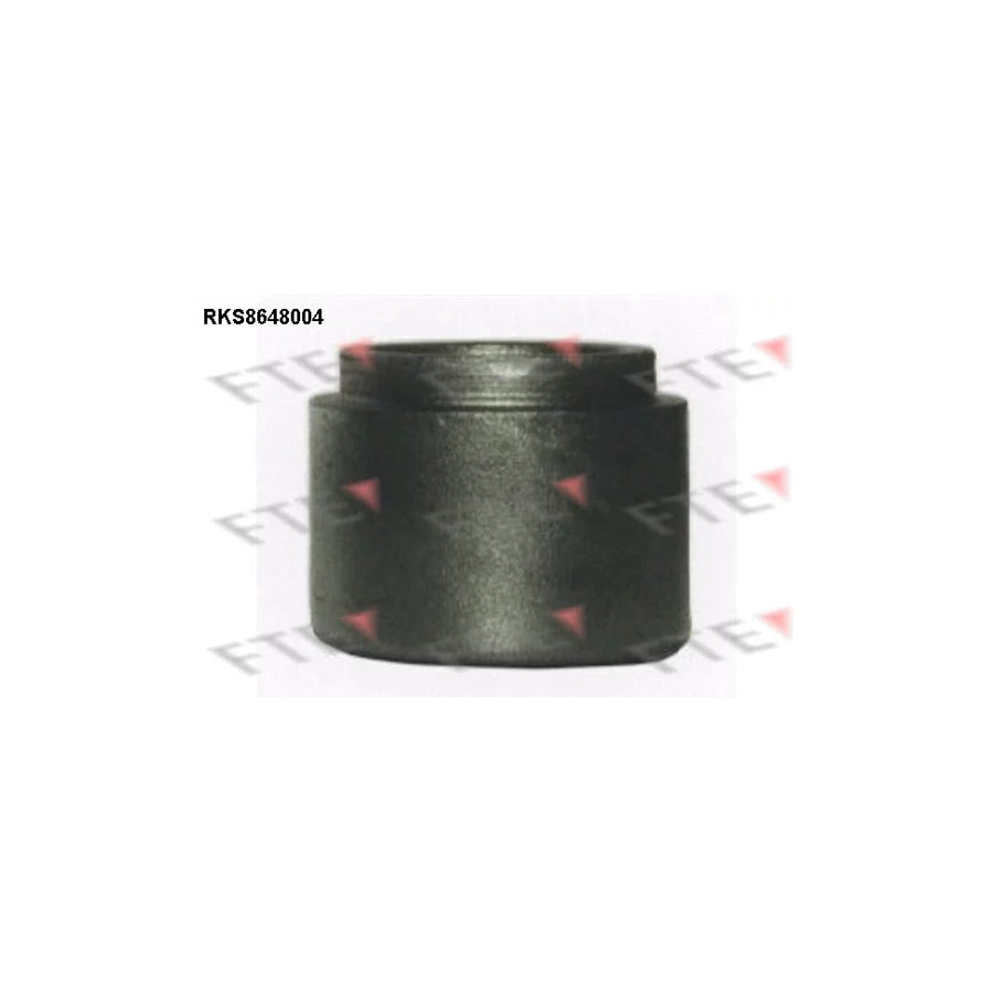 FTE Rks8648004 Piston, Brake Caliper