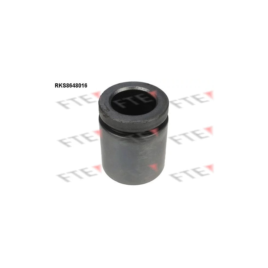 FTE Rks8648016 Piston, Brake Caliper