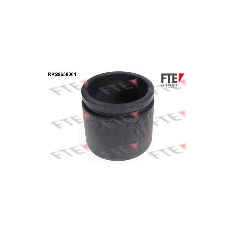 FTE Rks8650001 Piston, Brake Caliper