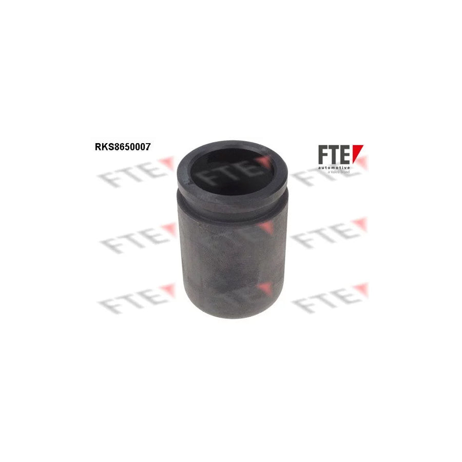 FTE Rks8650007 Piston, Brake Caliper