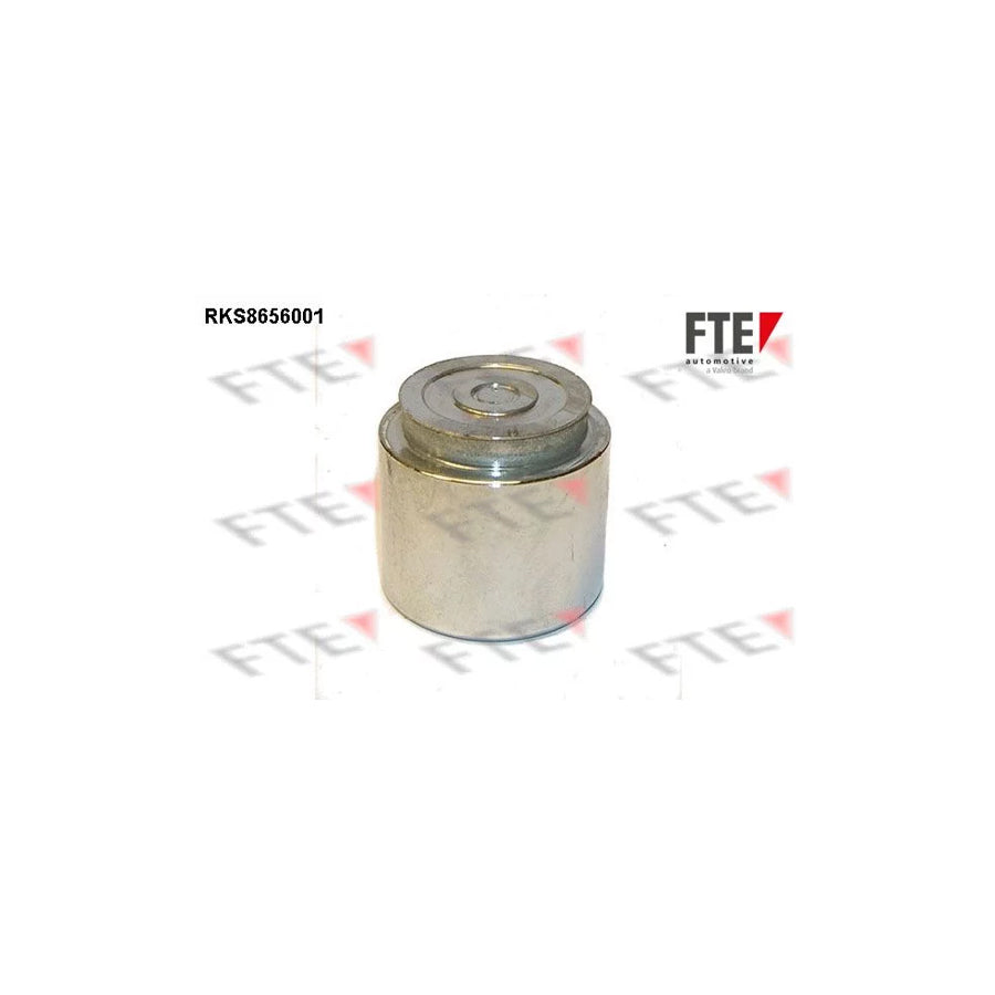 FTE Rks8656001 Piston, Brake Caliper