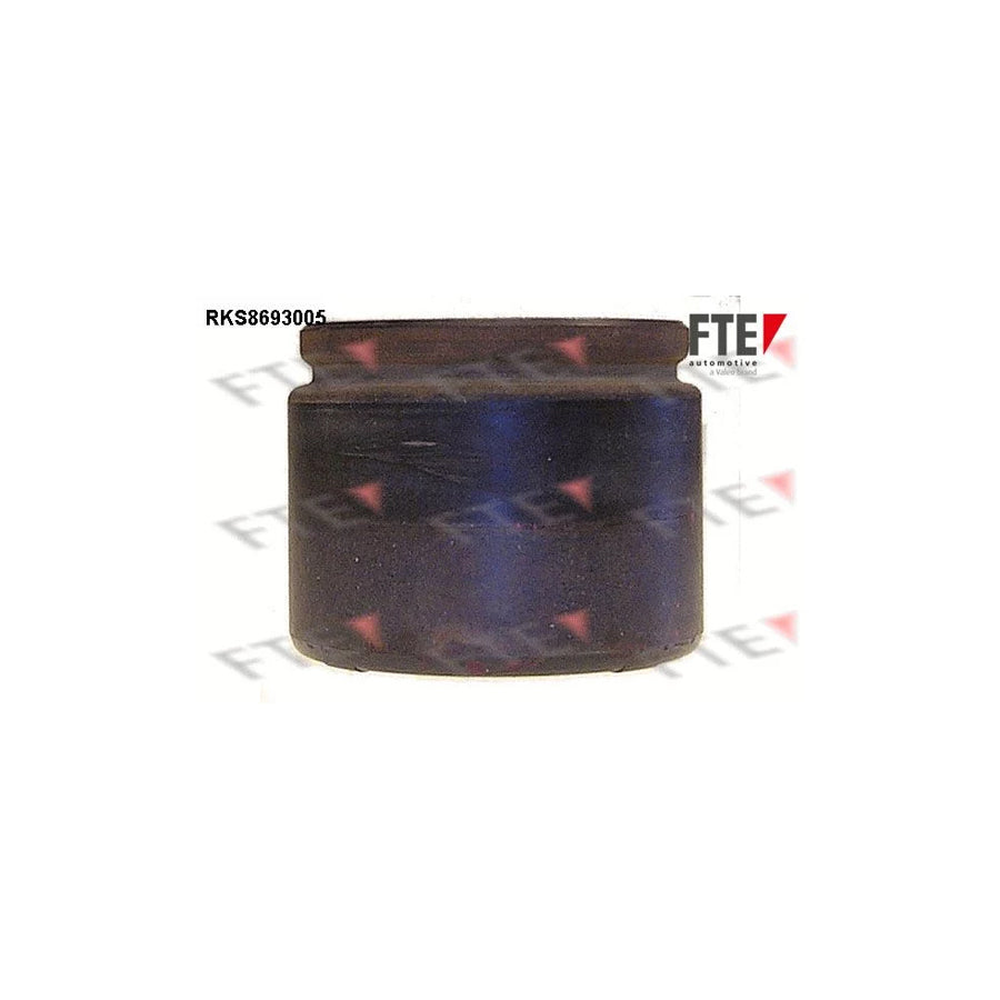 FTE Rks8693005 Piston, Brake Caliper for Chrysler Voyager IV (Rg, Rs)