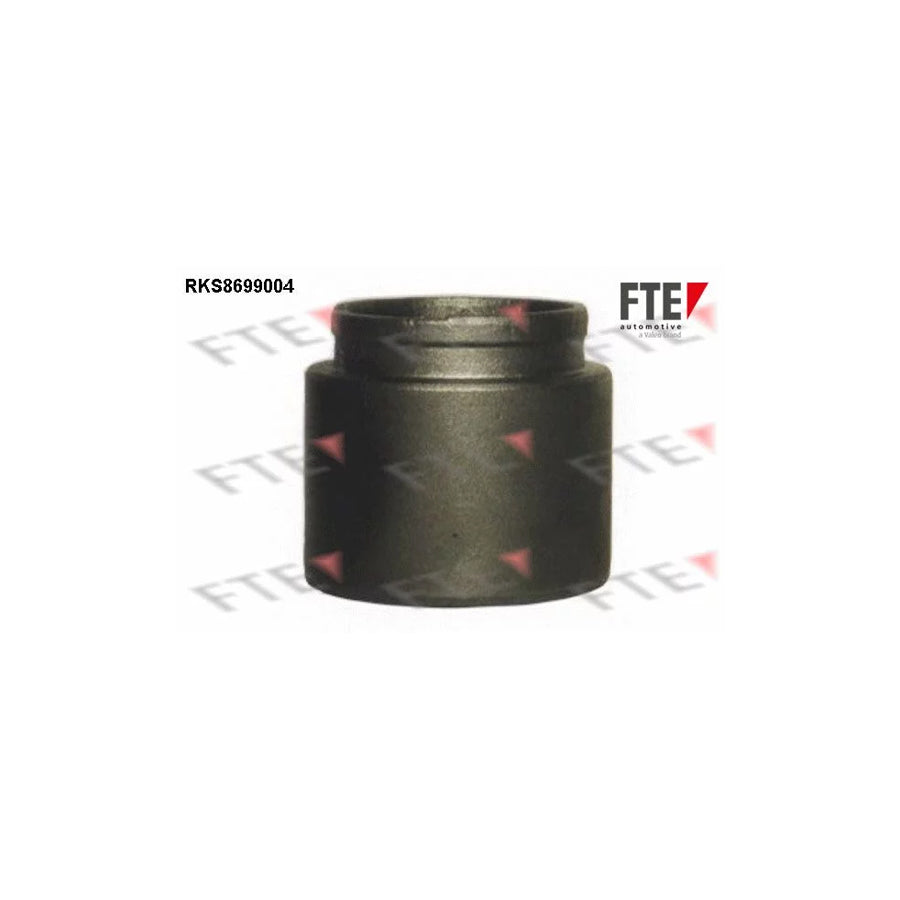 FTE Rks8699004 Piston, Brake Caliper