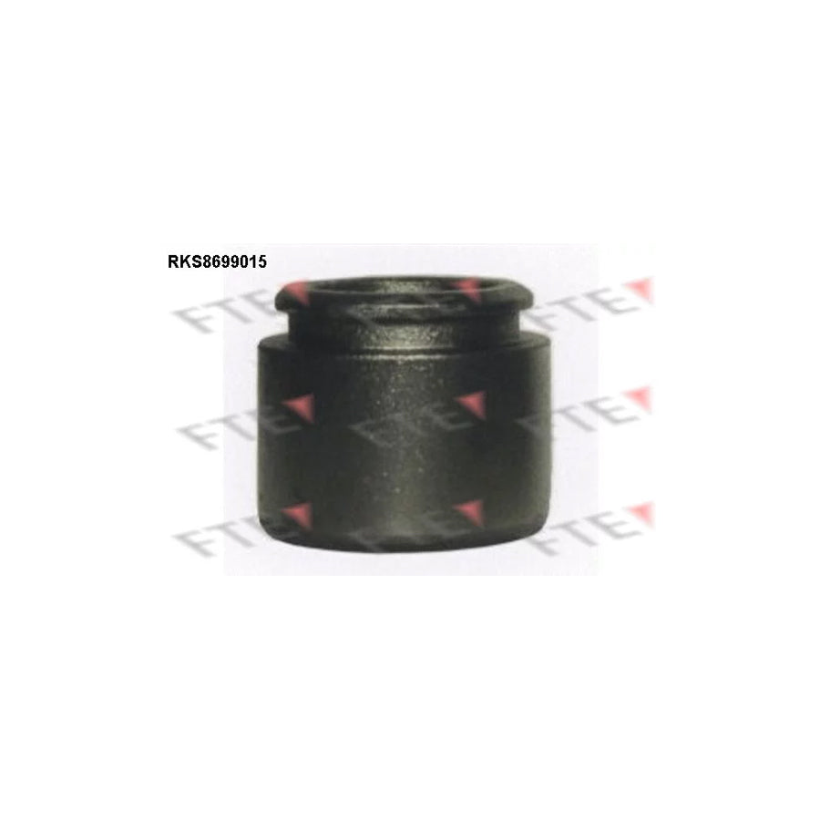 FTE Rks8699015 Piston, Brake Caliper