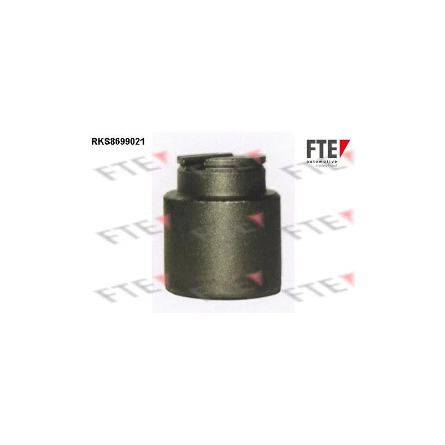 FTE Rks8699021 Piston, Brake Caliper