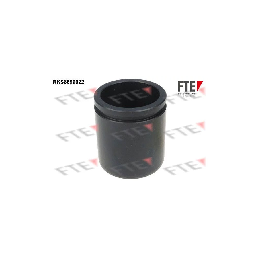 FTE Rks8699022 Piston, Brake Caliper
