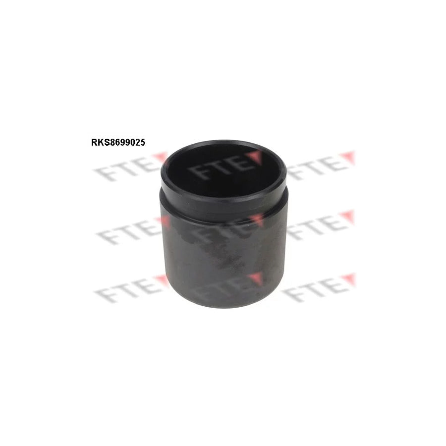 FTE Rks8699025 Piston, Brake Caliper