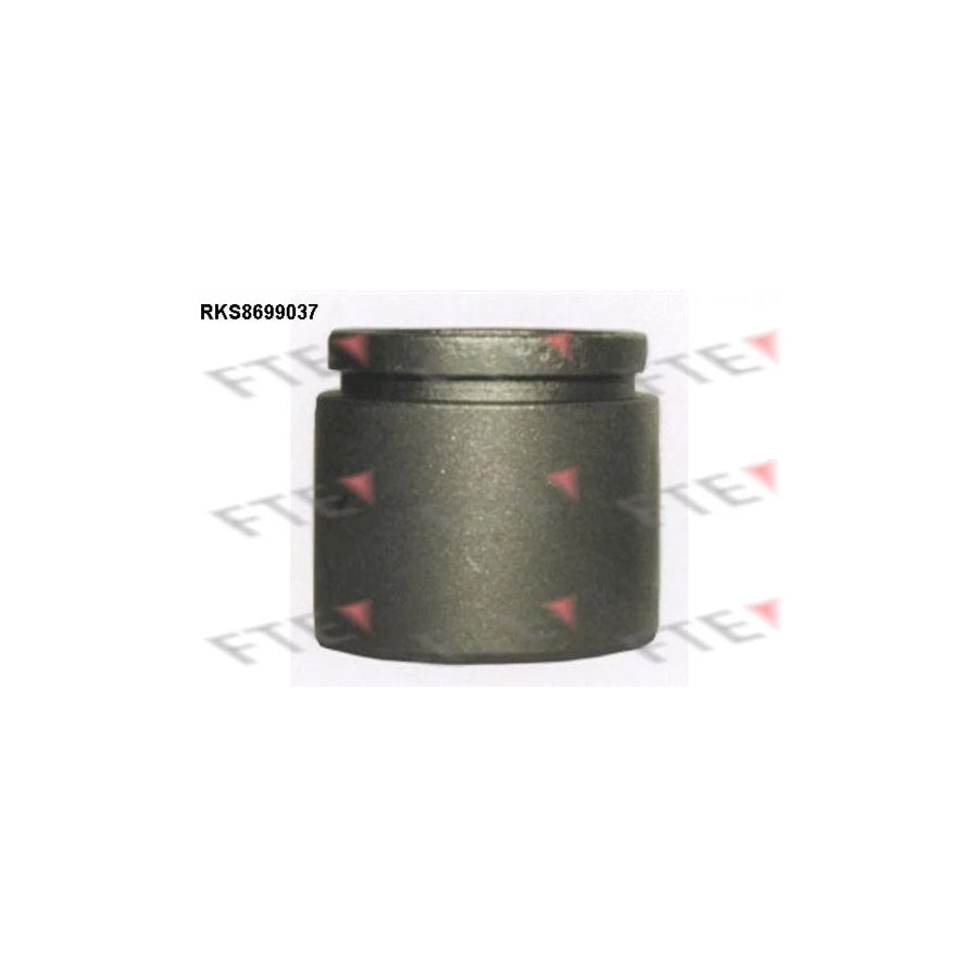 FTE Rks8699037 Piston, Brake Caliper