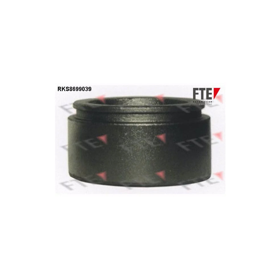 FTE Rks8699039 Piston, Brake Caliper