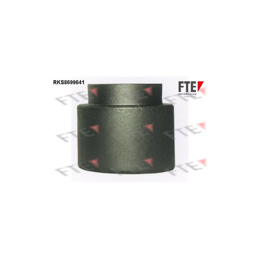 FTE Rks8699041 Piston, Brake Caliper