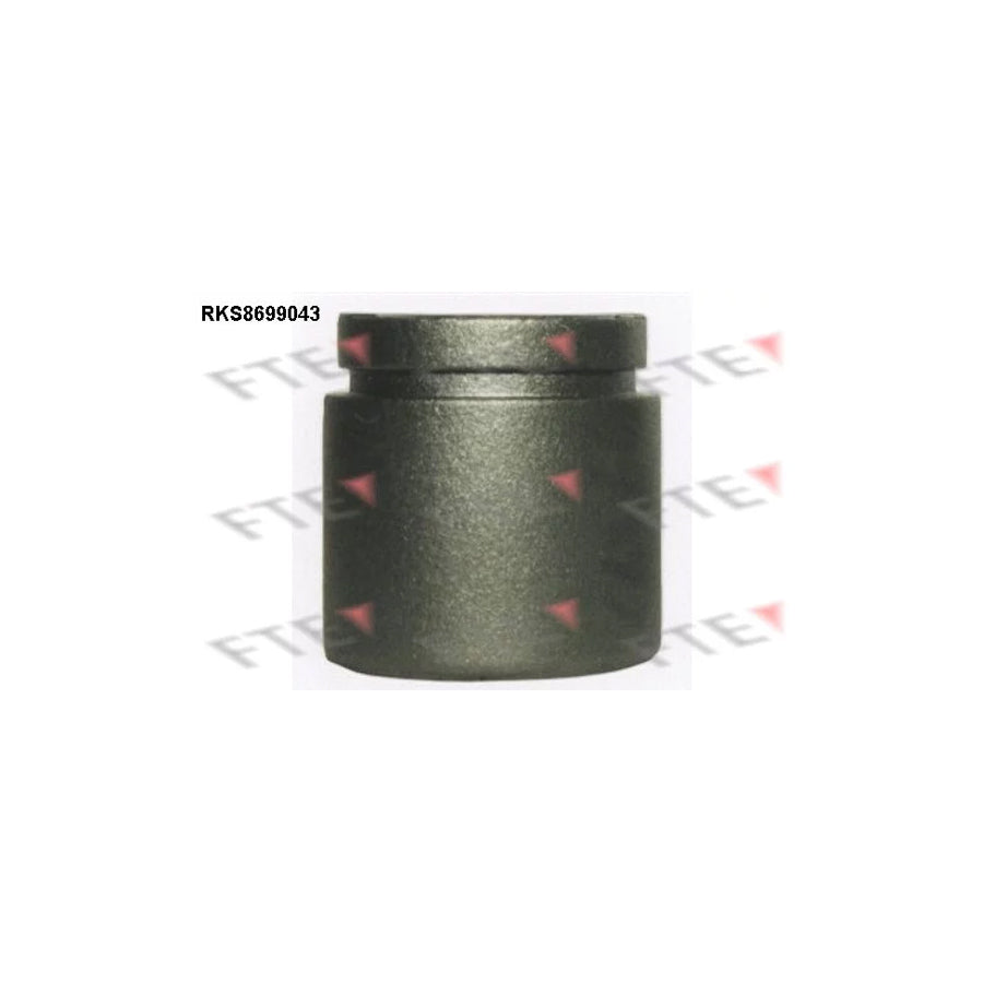 FTE Rks8699043 Piston, Brake Caliper