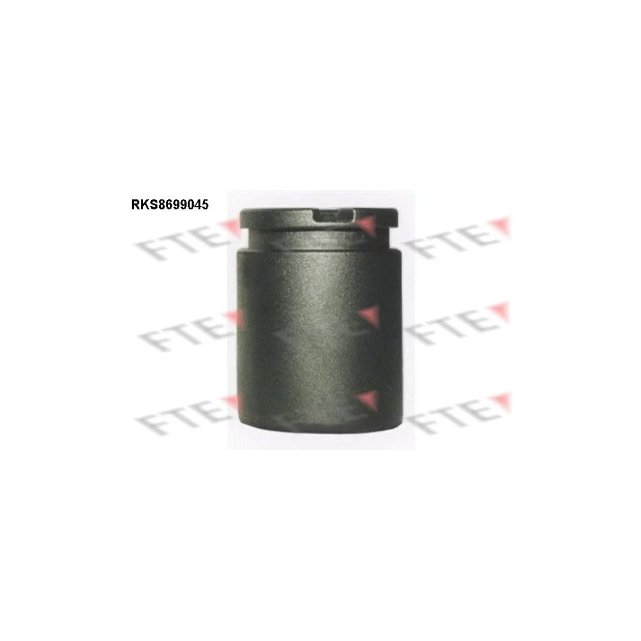 FTE Rks8699045 Piston, Brake Caliper