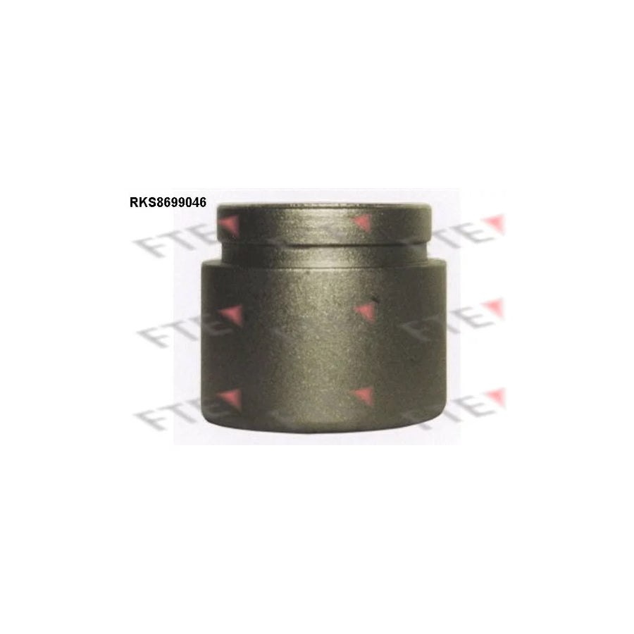 FTE Rks8699046 Piston, Brake Caliper