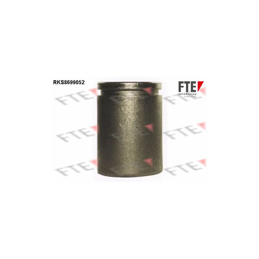 FTE Rks8699052 Piston, Brake Caliper