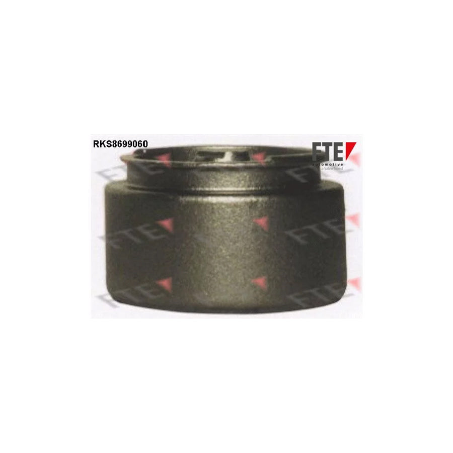 FTE Rks8699060 Piston, Brake Caliper