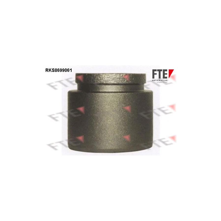 FTE Rks8699061 Piston, Brake Caliper
