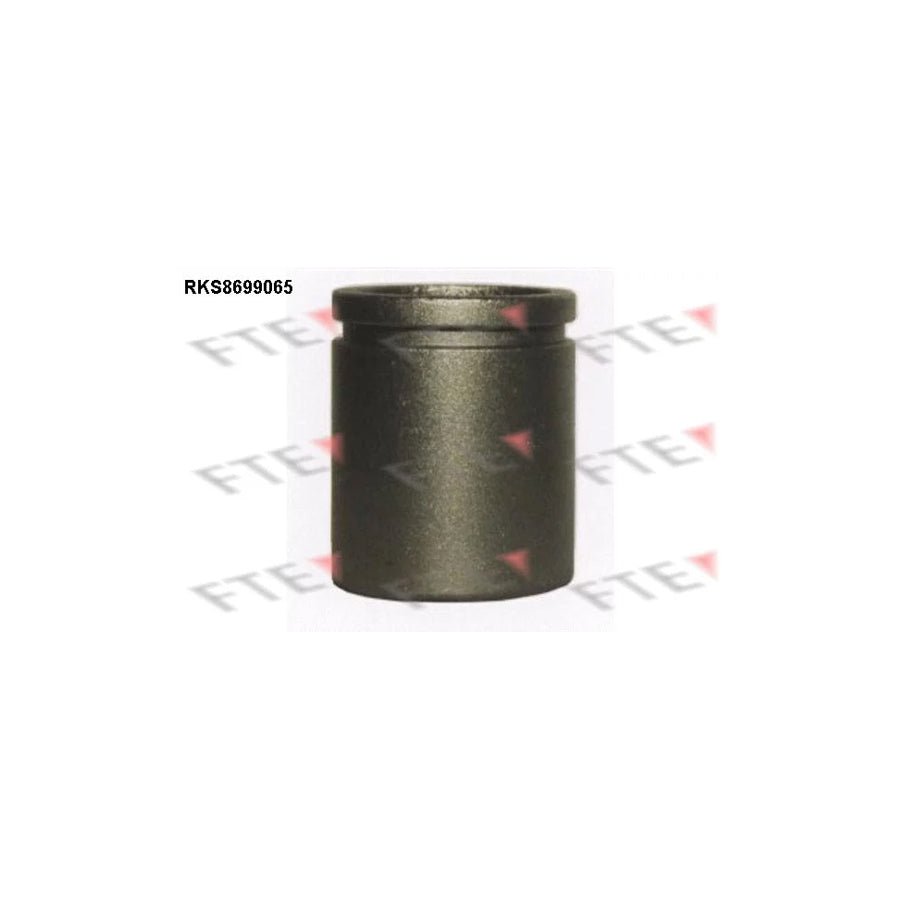FTE Rks8699065 Piston, Brake Caliper