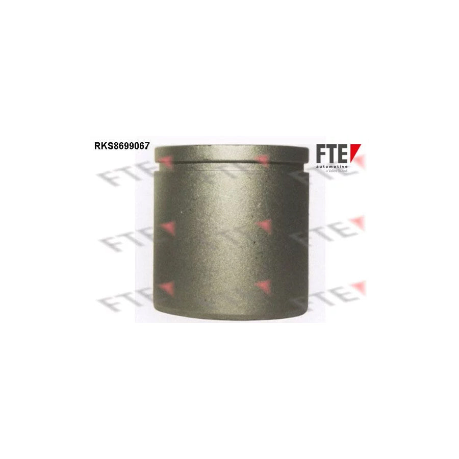 FTE Rks8699067 Piston, Brake Caliper