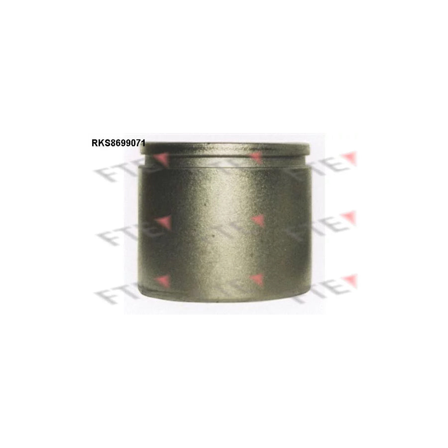 FTE Rks8699071 Piston, Brake Caliper