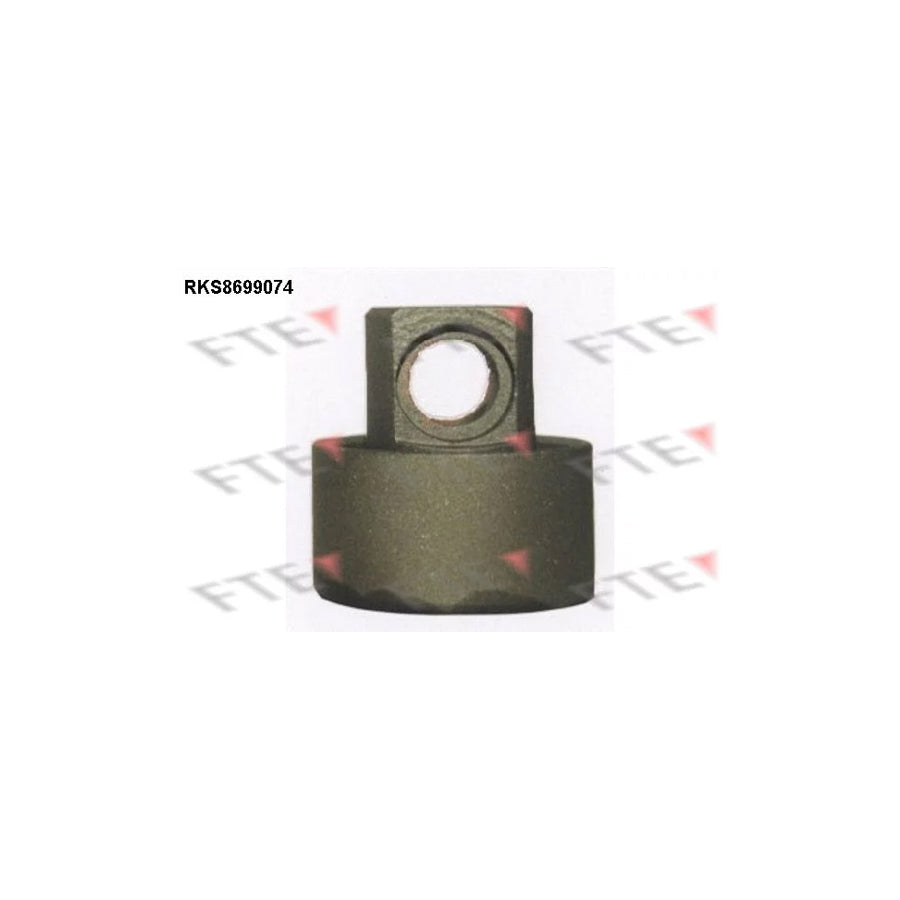 FTE Rks8699074 Piston, Brake Caliper