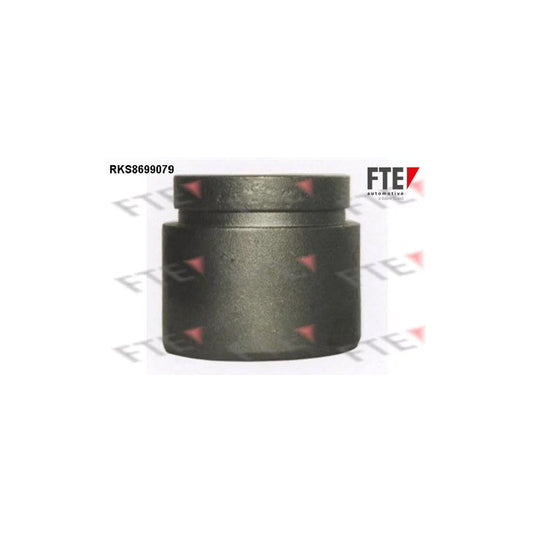 FTE Rks8699079 Piston, Brake Caliper