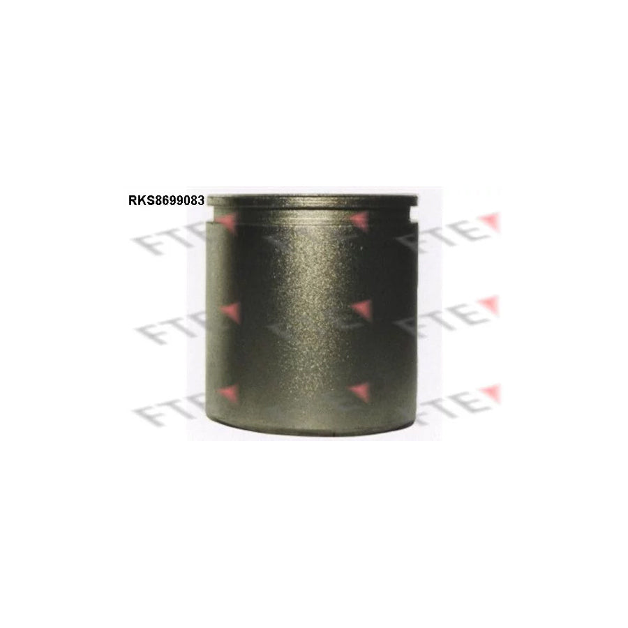 FTE Rks8699083 Piston, Brake Caliper