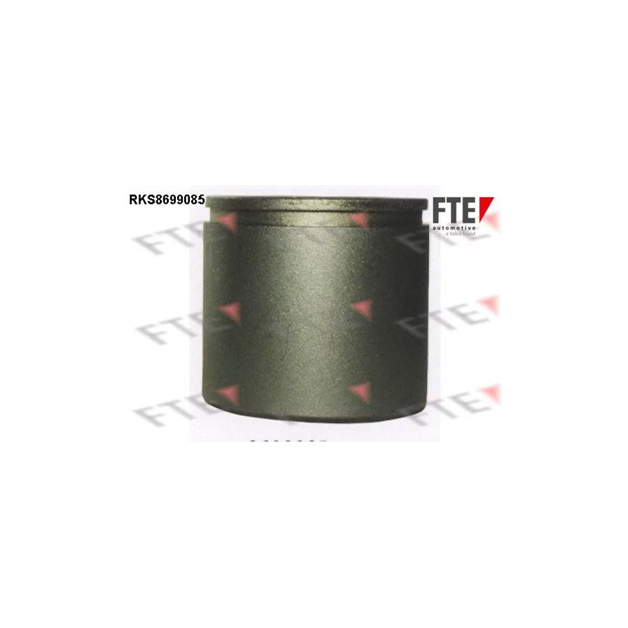 FTE Rks8699085 Piston, Brake Caliper