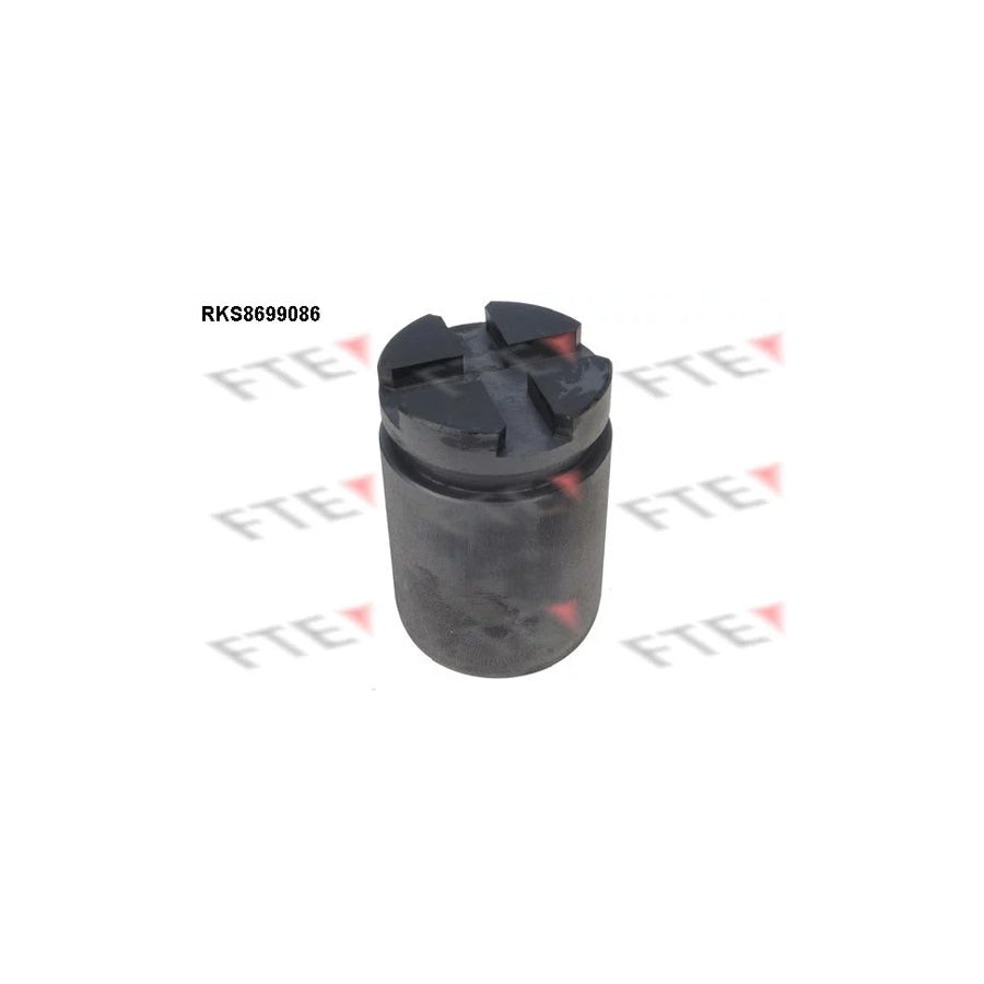 FTE Rks8699086 Piston, Brake Caliper