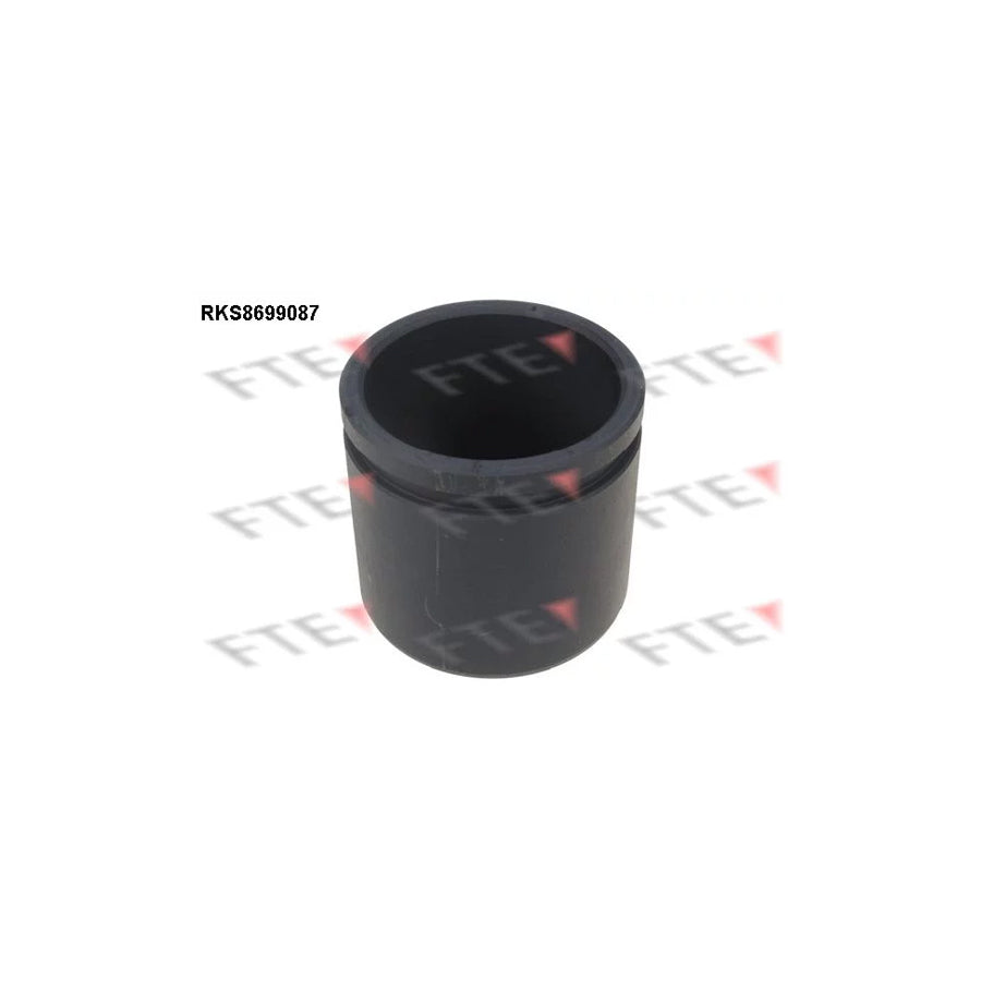 FTE Rks8699087 Piston, Brake Caliper