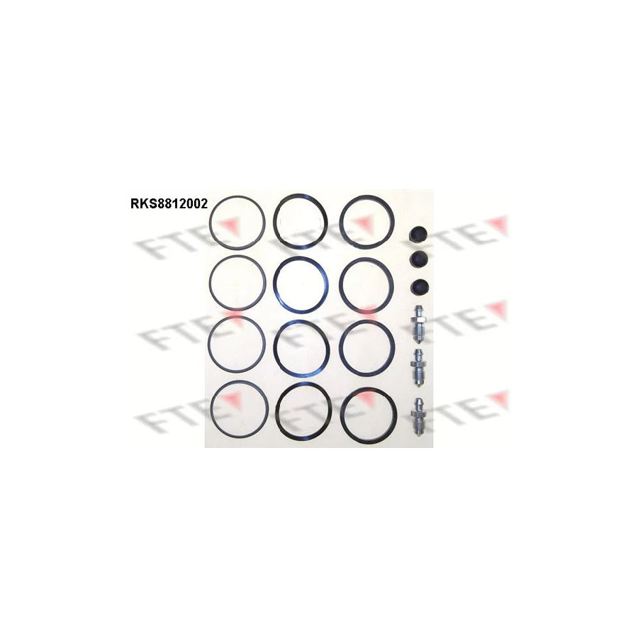 FTE Rks8812002 Repair Kit, Brake Caliper